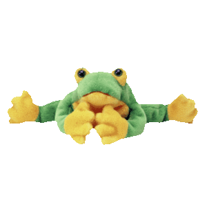 Smoochy the Frog